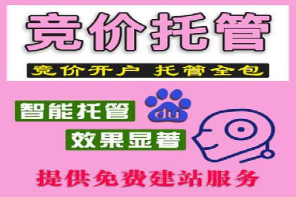 搜索引擎优化（SEO）与竞价广告（SEM）的对比案例